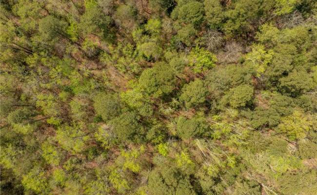 20.5ac Sams Walk Road, Gloucester County, VA 23072
