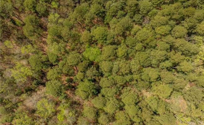 20.5ac Sams Walk Road, Gloucester County, VA 23072