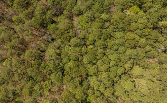 20.5ac Sams Walk Road, Gloucester County, VA 23072