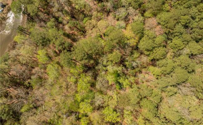 20.5ac Sams Walk Road, Gloucester County, VA 23072