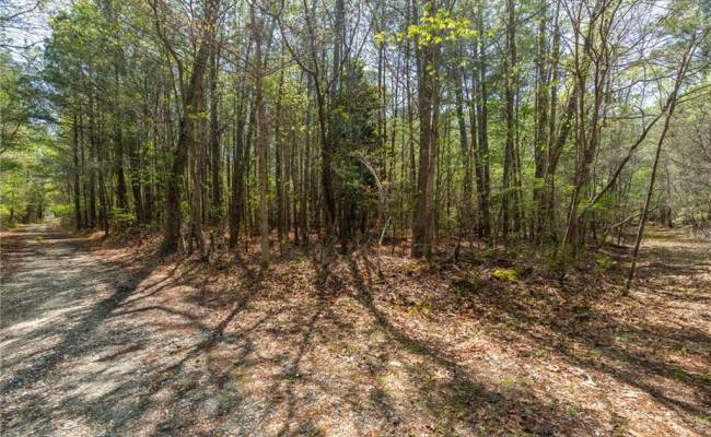 20.5ac Sams Walk Road, Gloucester County, VA 23072