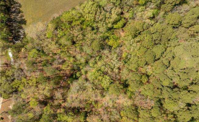 20.5ac Sams Walk Road, Gloucester County, VA 23072