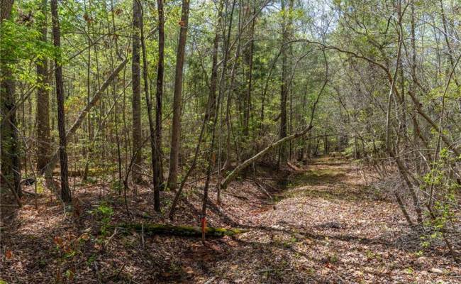 20.5ac Sams Walk Road, Gloucester County, VA 23072
