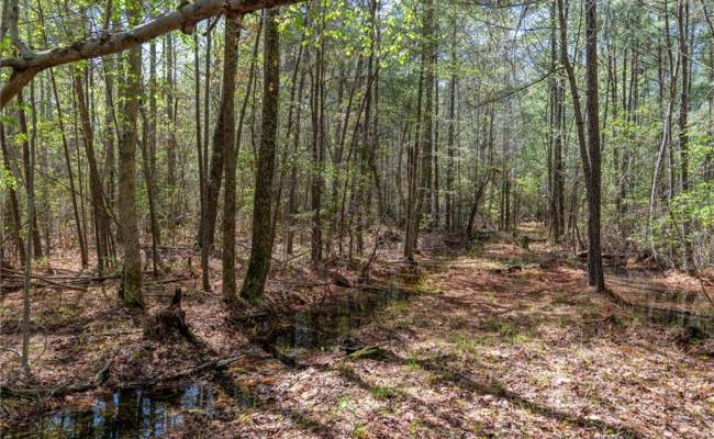 20.5ac Sams Walk Road, Gloucester County, VA 23072