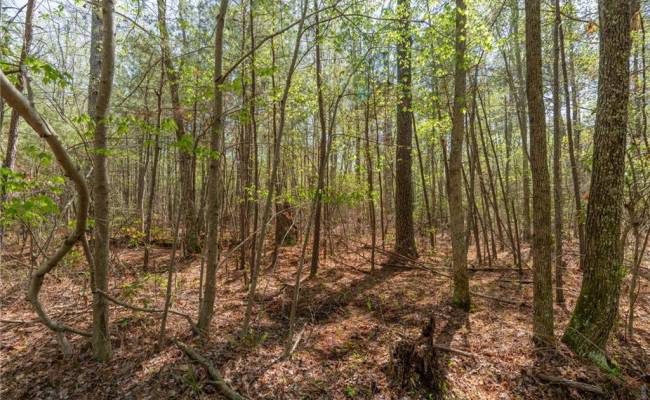 20.5ac Sams Walk Road, Gloucester County, VA 23072