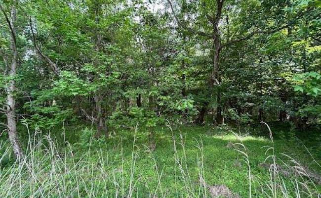 2317 Princess Anne Road, Virginia Beach, VA 23456