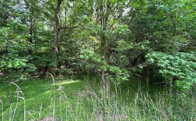 2317 Princess Anne Road, Virginia Beach, VA 23456