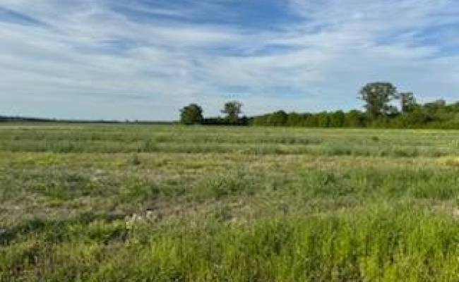 Lot A Highway 343 North , Camden County, NC 27976