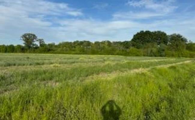 Lot A Highway 343 North , Camden County, NC 27976