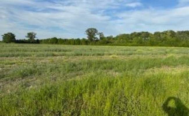 Lot A Highway 343 North , Camden County, NC 27976
