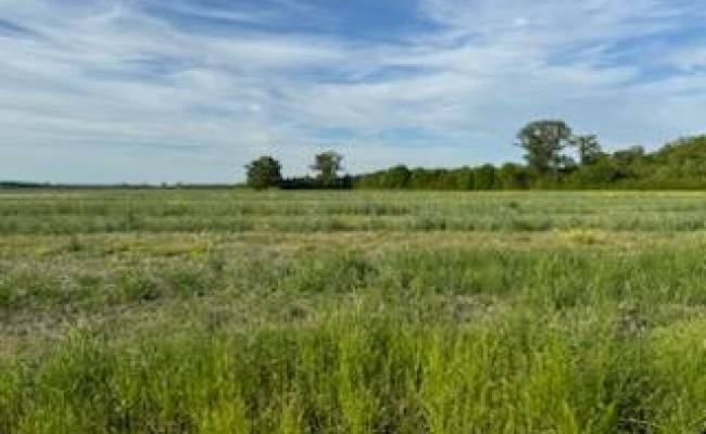 Lot B Highway 343 North , Camden County, NC 27976