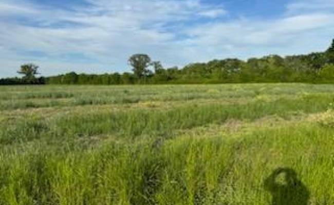 Lot B Highway 343 North , Camden County, NC 27976