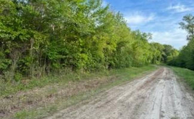 Lot C South Road, Camden County, NC 27976