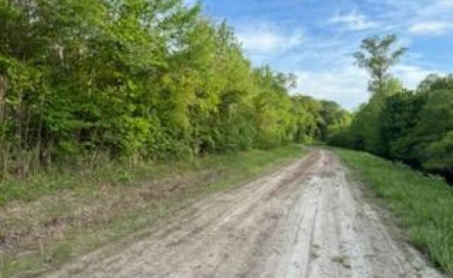 Lot C South Road, Camden County, NC 27976