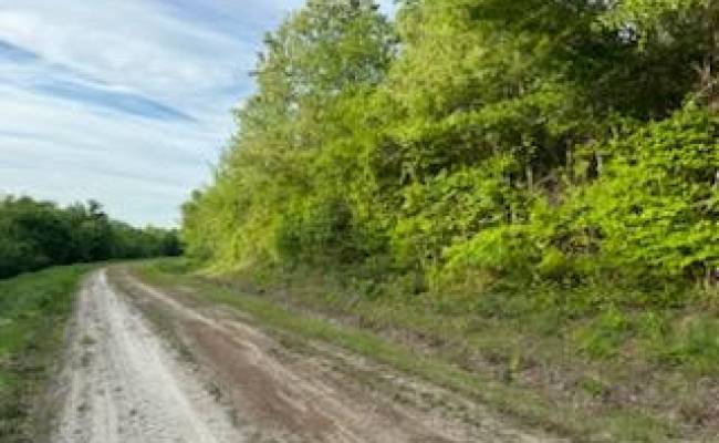 Lot C South Road, Camden County, NC 27976