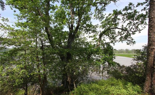 1850 John Tyler Highway, James City County, VA 23185