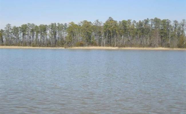 1850 John Tyler Highway, James City County, VA 23185