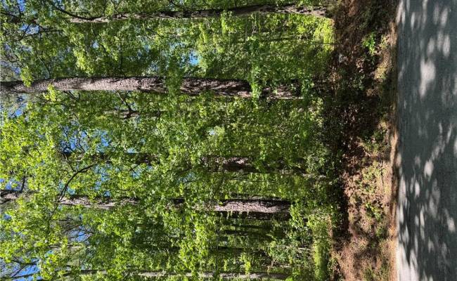 Lot 80 Pughsville Road, Suffolk, VA 23435