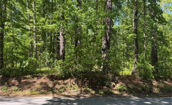 Lot 80 Pughsville Road, Suffolk, VA 23435