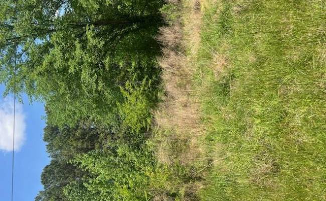 .26+AC THOMASTON Road, Southampton County, VA 23874