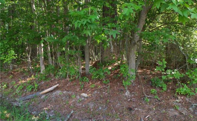 10+AC Dutch Road, Suffolk, VA 23437