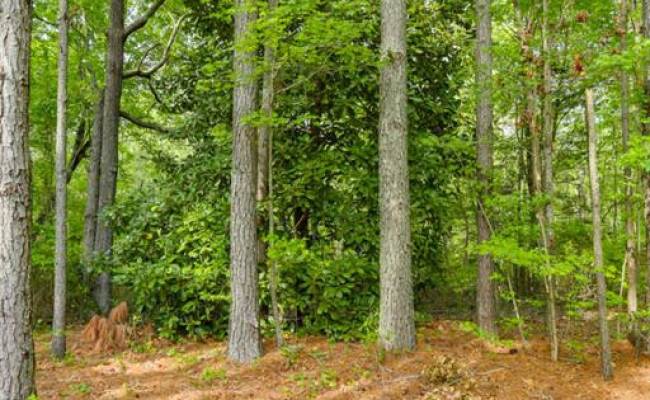 Lot G Sandy Pines Lane, Gloucester County, VA 23072
