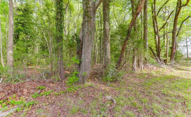 Lot G Sandy Pines Lane, Gloucester County, VA 23072