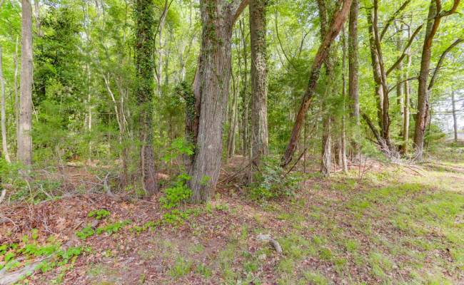 Lot G Sandy Pines Lane, Gloucester County, VA 23072