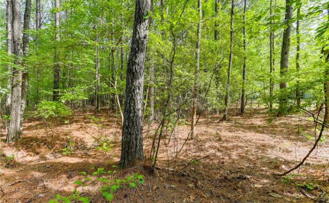 Lot G Sandy Pines Lane, Gloucester County, VA 23072