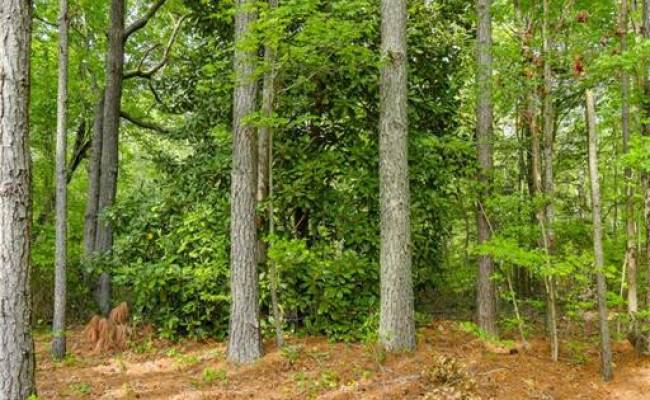 Lot G Sandy Pines Lane, Gloucester County, VA 23072