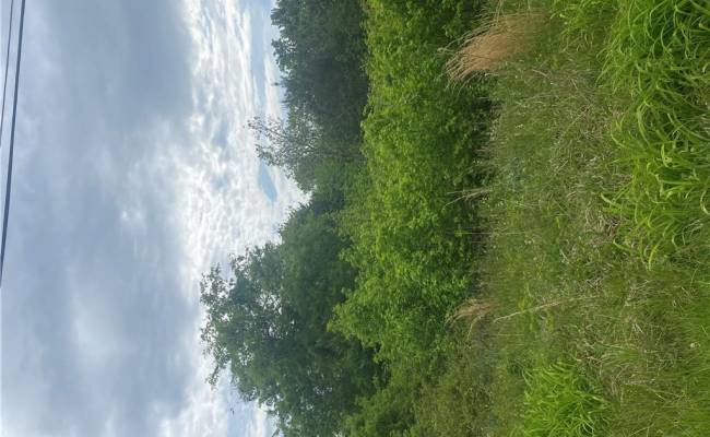 88 McCahan Street, Nottoway County, VA 23922