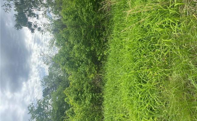 88 McCahan Street, Nottoway County, VA 23922