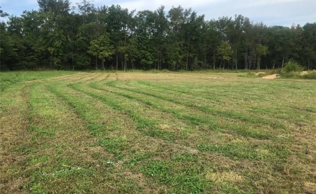 4 Court Street, Isle of Wight County, VA 23487