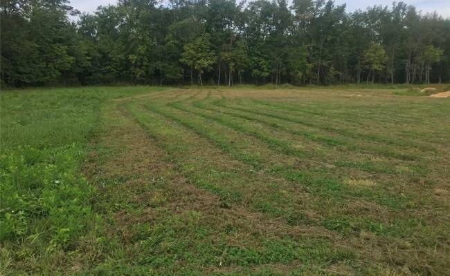 3 Court Street, Isle of Wight County, VA 23487