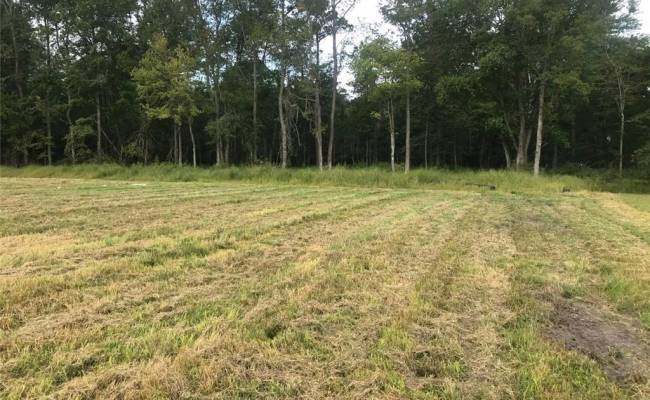 3 Court Street, Isle of Wight County, VA 23487