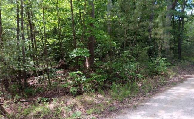 6.02ac Hickory Neck Road, Middlesex County, VA 23175