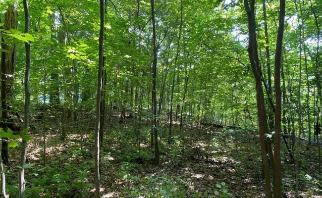 1 AC Breezy Cove, Gloucester County, VA 23061