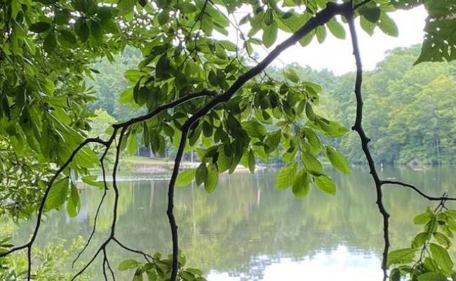 1 AC Breezy Cove, Gloucester County, VA 23061