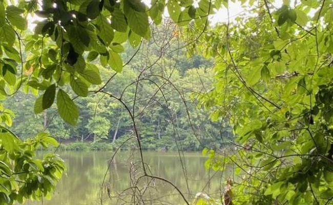 1 AC Breezy Cove, Gloucester County, VA 23061