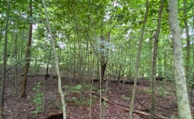 1 AC Breezy Cove, Gloucester County, VA 23061