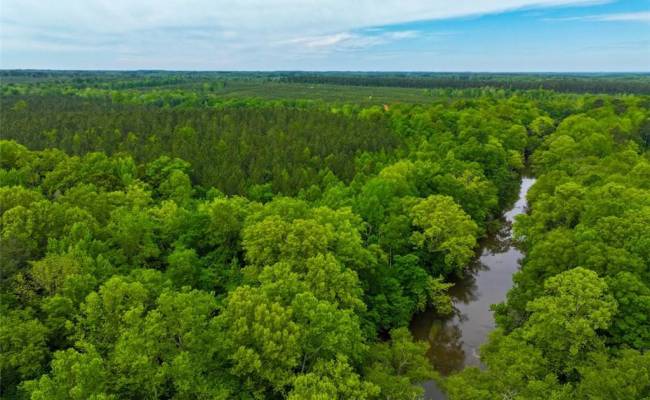 200+AC Western Mill Road, Brunswick County, VA 23868