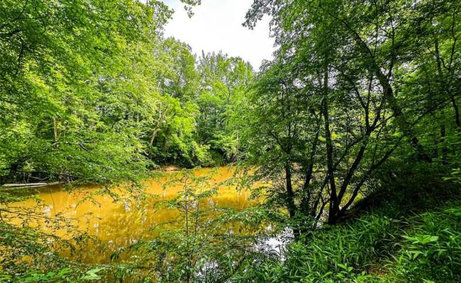 200+AC Western Mill Road, Brunswick County, VA 23868