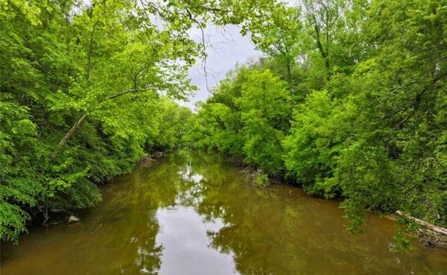 200+AC Western Mill Road, Brunswick County, VA 23868