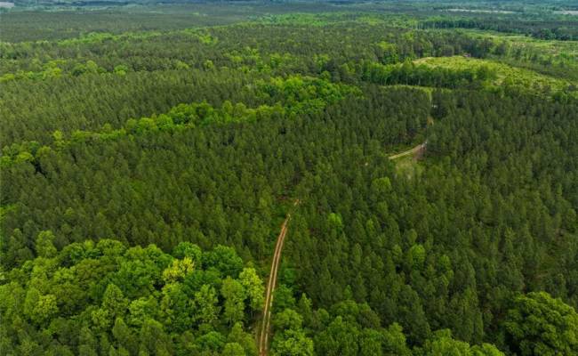 200+AC Western Mill Road, Brunswick County, VA 23868