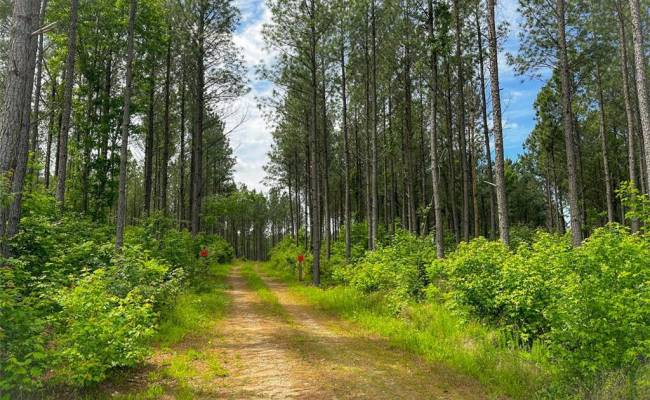 200+AC Western Mill Road, Brunswick County, VA 23868
