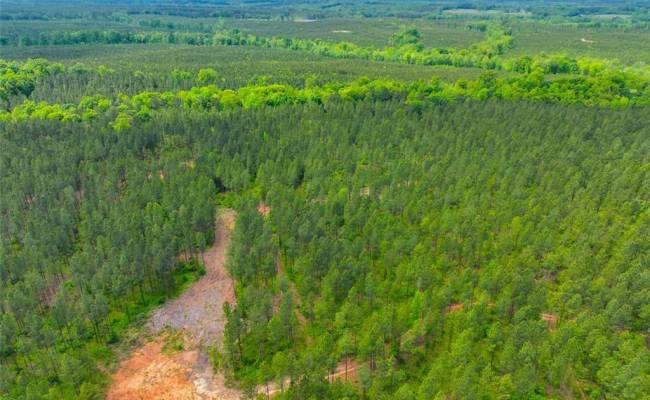 200+AC Western Mill Road, Brunswick County, VA 23868