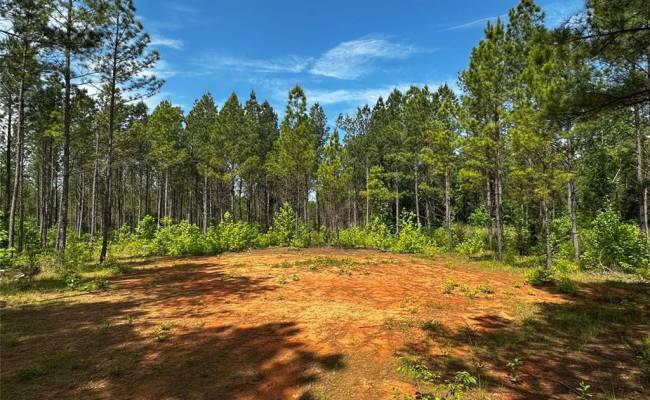 200+AC Western Mill Road, Brunswick County, VA 23868