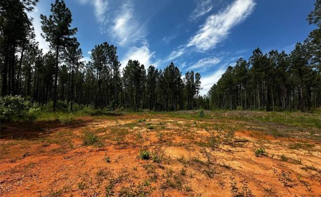 200+AC Western Mill Road, Brunswick County, VA 23868