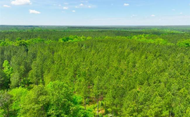 200+AC Western Mill Road, Brunswick County, VA 23868
