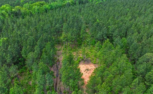200+AC Western Mill Road, Brunswick County, VA 23868